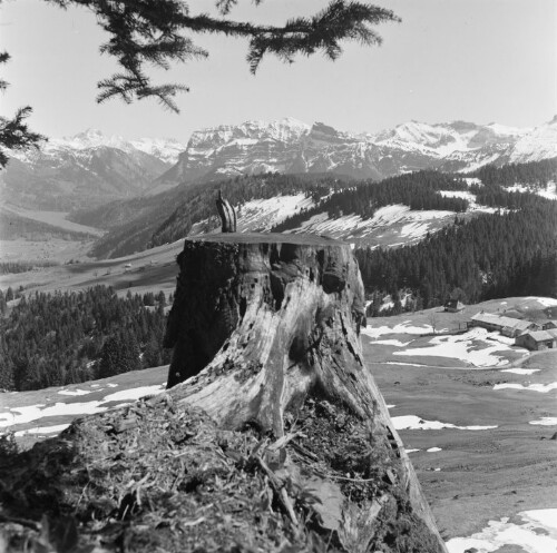 Schwarzenberg - Bödele, Blick auf die Kanisfluh