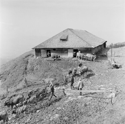 Dornbirn, Alpe Gschwend