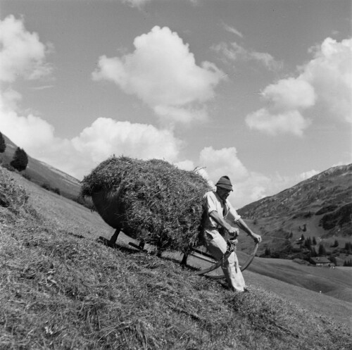 Schröcken - Schlößle, Heuernte