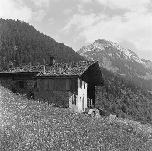 St. Gallenkirch - Gortipohl - Innerzigam, Bauernhaus