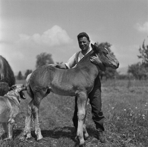 Bauer mit Pony