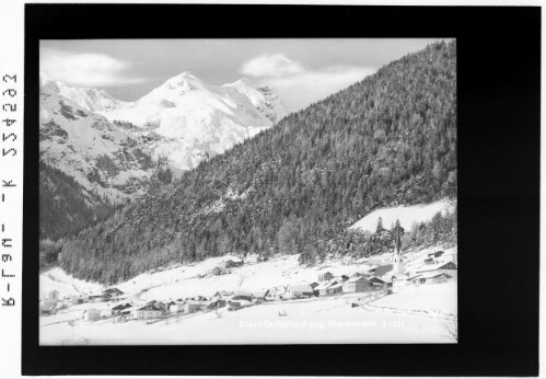 Trins im Gschnitztal gegen Wasenwand