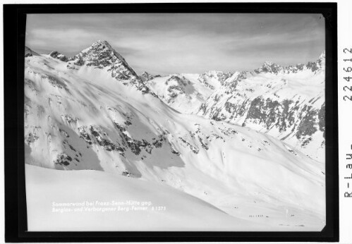 Sommerwand bei der Franz Senn Hütte gegen Berlas und Verborgener Berg Ferner : [Sommerwand mit Schrandele und Berglasspitze]