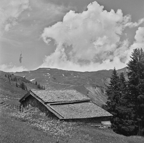 Damüls, Bauernhaus