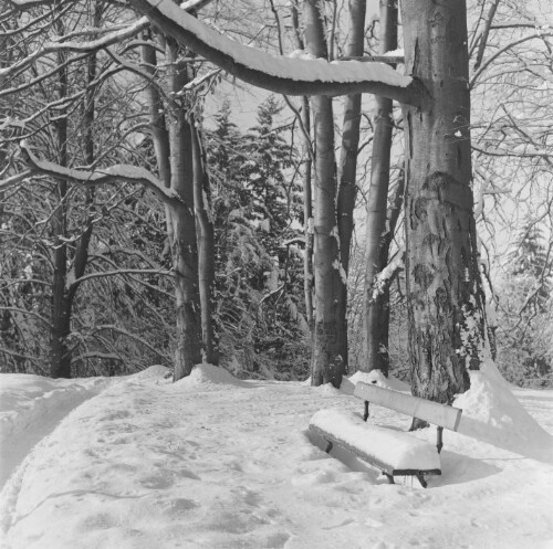 Dornbirn im Winter