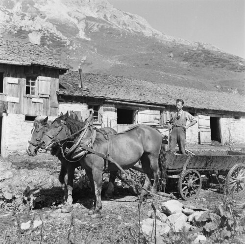 Schröcken, Untere Auenfeldalpe