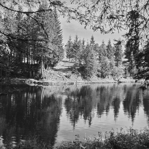 Schwarzenberg - Bödele, Bödelesee