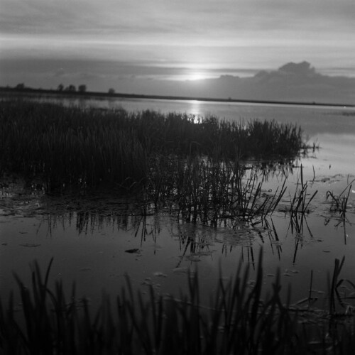 Abendstimmung am Bodensee