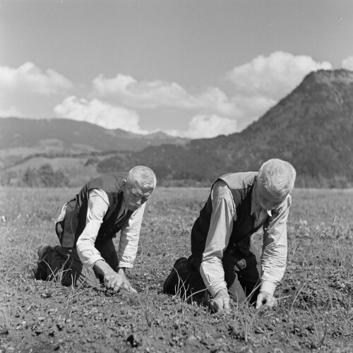 Dornbirn - Hatlerdorf, Personenporträt