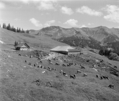 Dornbirn, Gschwendtalpe