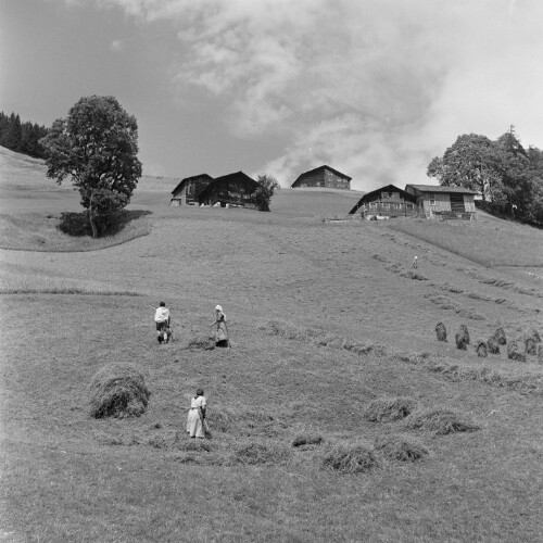 Fontanella - Kirchberg, Heuernte