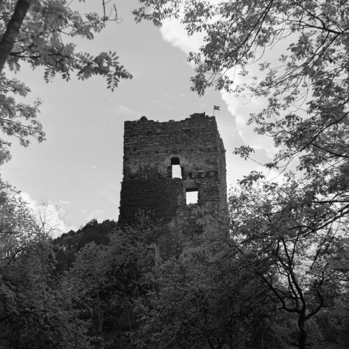 Götzis, Ruine Neu-Montfort