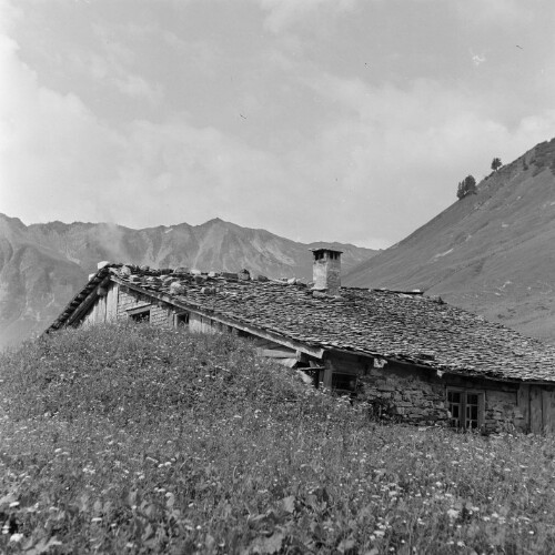 Großes Walsertal, Einzelnes