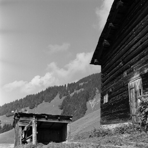 Großes Walsertal, Einzelnes