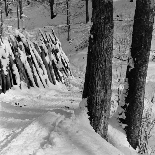 Verschneiter Wald