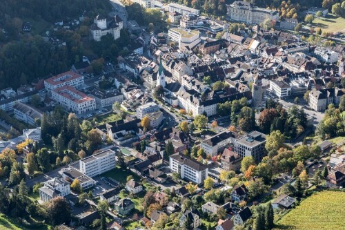 [Feldkirch-Stadt, Dom, Schattenburg, Bezirkshauptmannschaft, Montforthaus, Landeskonservatorium]