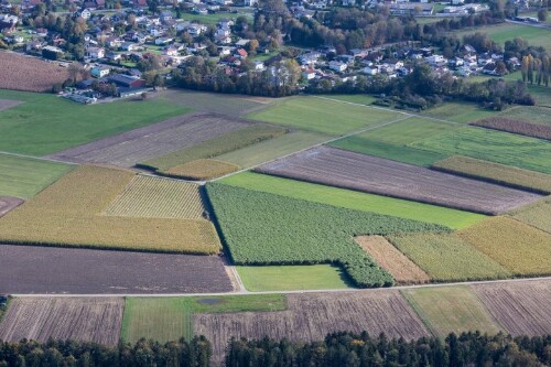 [Meinigen, Landwirtschaftshof Paspelweg, Grenze Feldkirch]