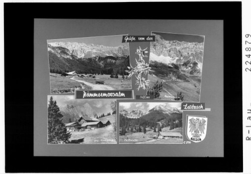 Grüsse von der Hämmermoosalm / Leutasch