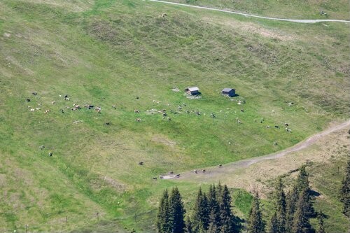 [St. Gallenkirch - Garfreschner Älpili]