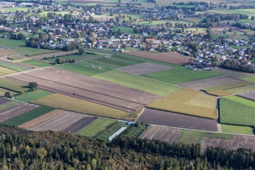 [Meiningen, Grenze Feldkirch, Landwirtschaft]