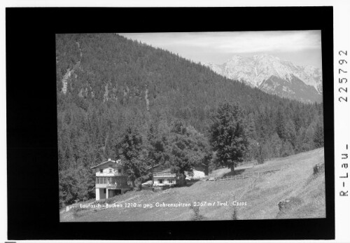 Leutasch - Buchen 1210 m gegen Gehrenspitzen 2367 m / Tirol : [Buchen ob Telfs]