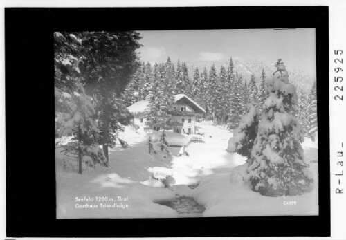 Seefeld 1200 m / Tirol / Gasthaus Triendlsäge