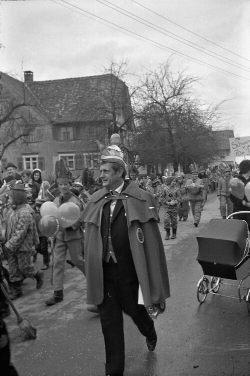 Faschingsumzug in Hard