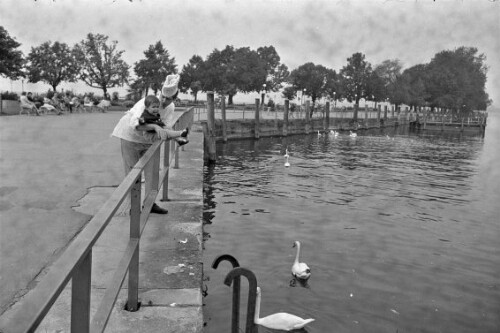Lebensretter in Bregenz