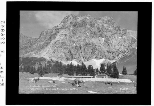 Leutasch - Gaistal - Tirol / Feldernalm 1753 m gegen Plattspitze 2679 m : [Hochfeldernalm im Gaistal gegen Plattspitzen]