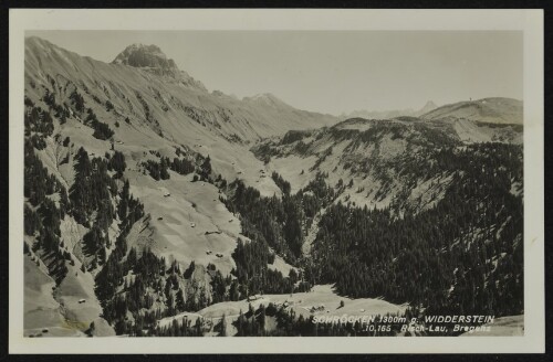 Schröcken 1300 m g. Widderstein