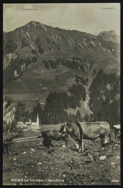 Almidyll bei Schröcken i. Vorarlberg : Höferspitze : Widderstein