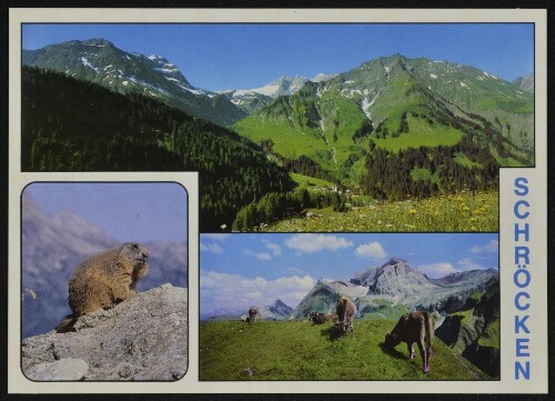 Schröcken : [Im schönen Bregenzerwald Schröcken am Hochtannberg mit Mohnenfluh (2542 m), Juppenspitze (2412 m) und Braunarlspitze (2649 m) Vorarlberg/Austria ...]