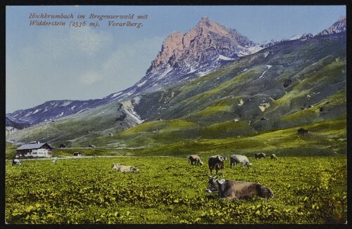 [Warth] Hochkrumbach im Bregenzerwald mit Widderstein (2536 m) Vorarlberg