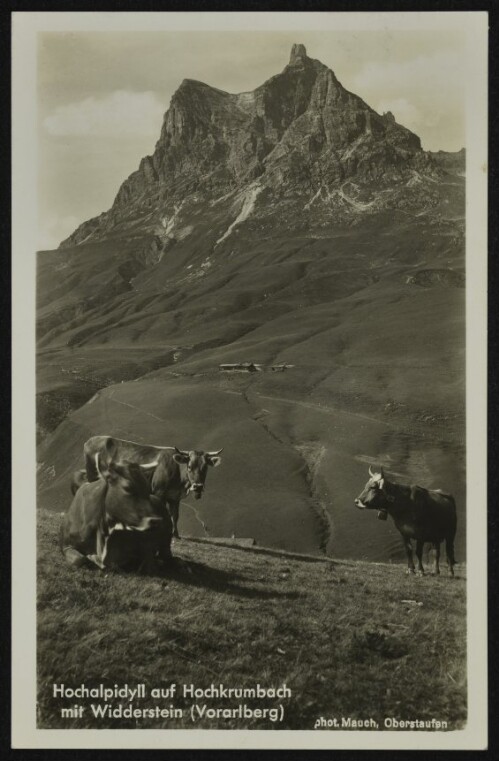 [Warth] Hochalpidyll auf Hochkrumbach mit Widderstein (Vorarlberg)