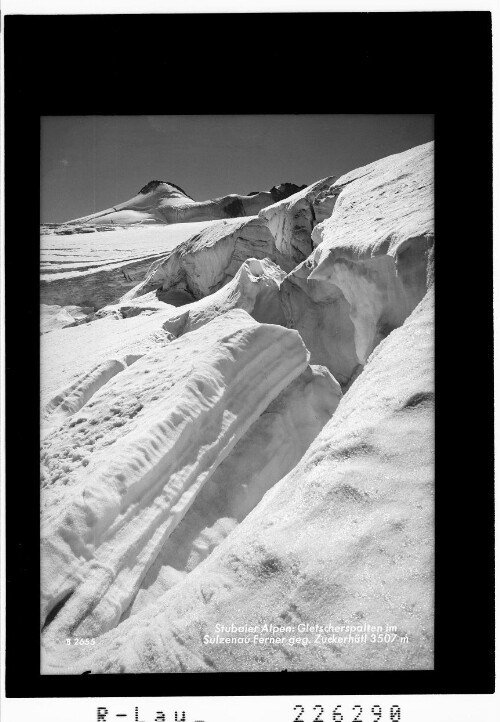 Stubaier Alpen / Gletscherspalte im Sulzenau Ferner gegen Zuckerhütl 3507 m