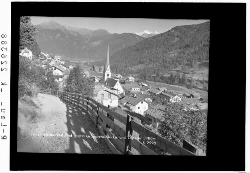 Trins im Gschitztal / Tirol gegen Gschnitztalbrücke und Olperer 3480 m