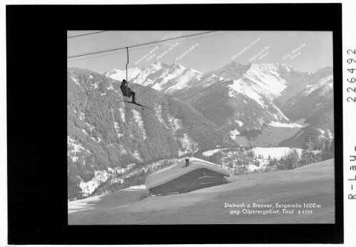 Steinach am Brenner / Bergeralm 1600 m gegen Olperergebiet / Tirol : [Bergeralm gegen Olpererkamm mit Olperer und Schrammacher]