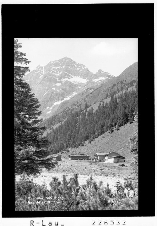 Pinnisalm 1559 m gegen Habicht 3280 m / Tirol