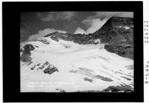 Zillertaler Alpen / Tirol / Wildlahnerkees mit Olperer 3480 m und Fußstein 3381 m