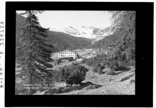 Stubaier Alpen / Tirol / Schlickeralm 1616 m gegen Hohen Burgstall 2673 m