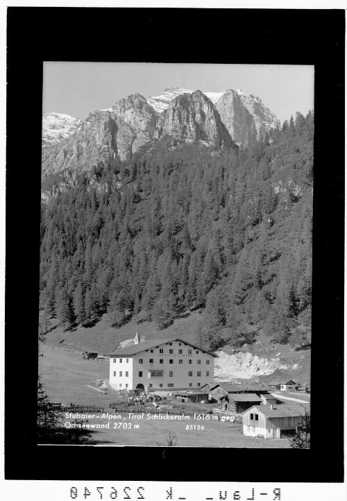 Stubaier Alpen / Tirol / Schlickeralm 1616 m gegen Ochsenwand 2703 m