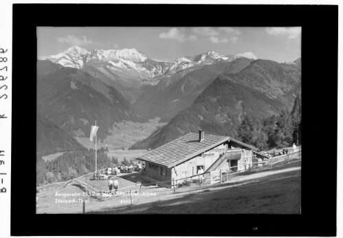 Bergeralm 1550 gegen Zillertaler Alpen / Steinach / Tirol