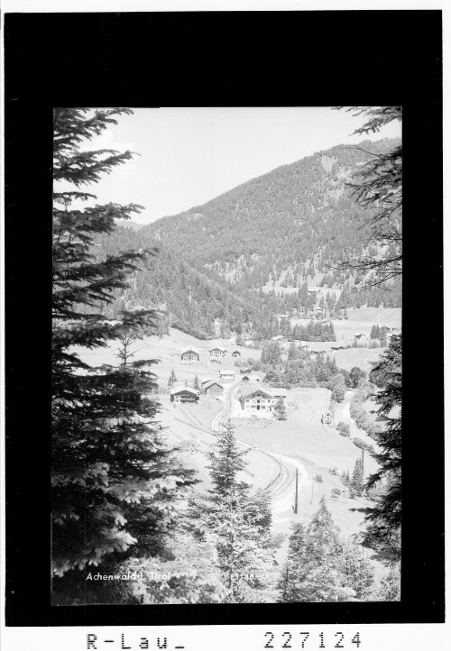 Achenwald in Tirol