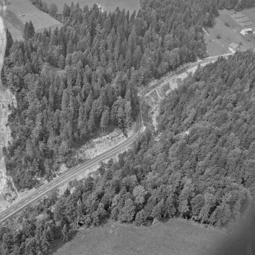 Alberschwende, L 200