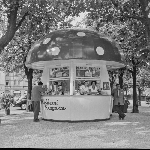 Bregenz, erster  Milchpilz  in Österreich eröffnet