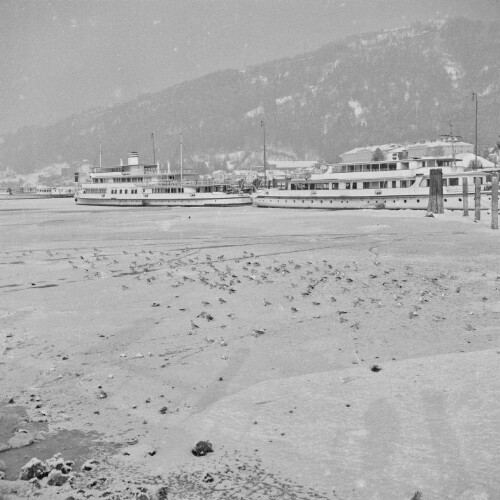 Bregenzer Schiffshafen, Winterlandschaft