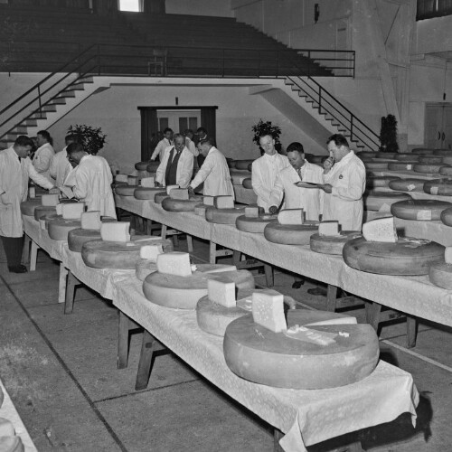 Hartkäseprüfung des Milchwirtschaftsfonds in der Bregenzer Sporthalle