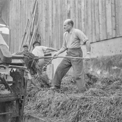 Landeshauptmann Ulrich Ilg als Landwirt