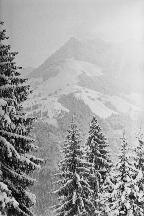 Bazora Gurtisspitze vom Naturfreundehaus aus