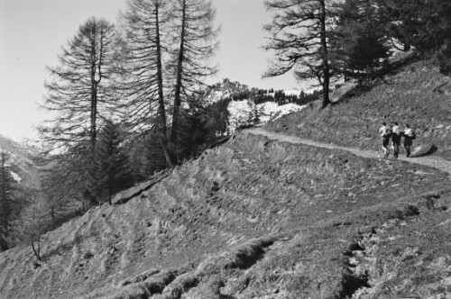 Am Weg zum Hinterälpele